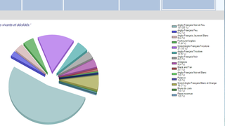 Graphiques des statistiques